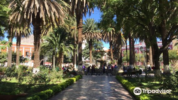 Main Plaza Tarija