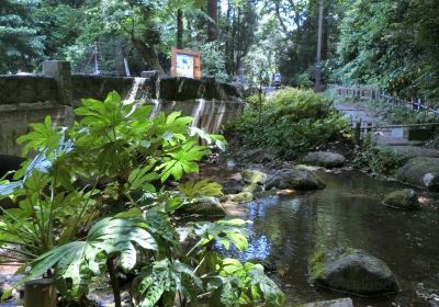 Ochanomizu Pond