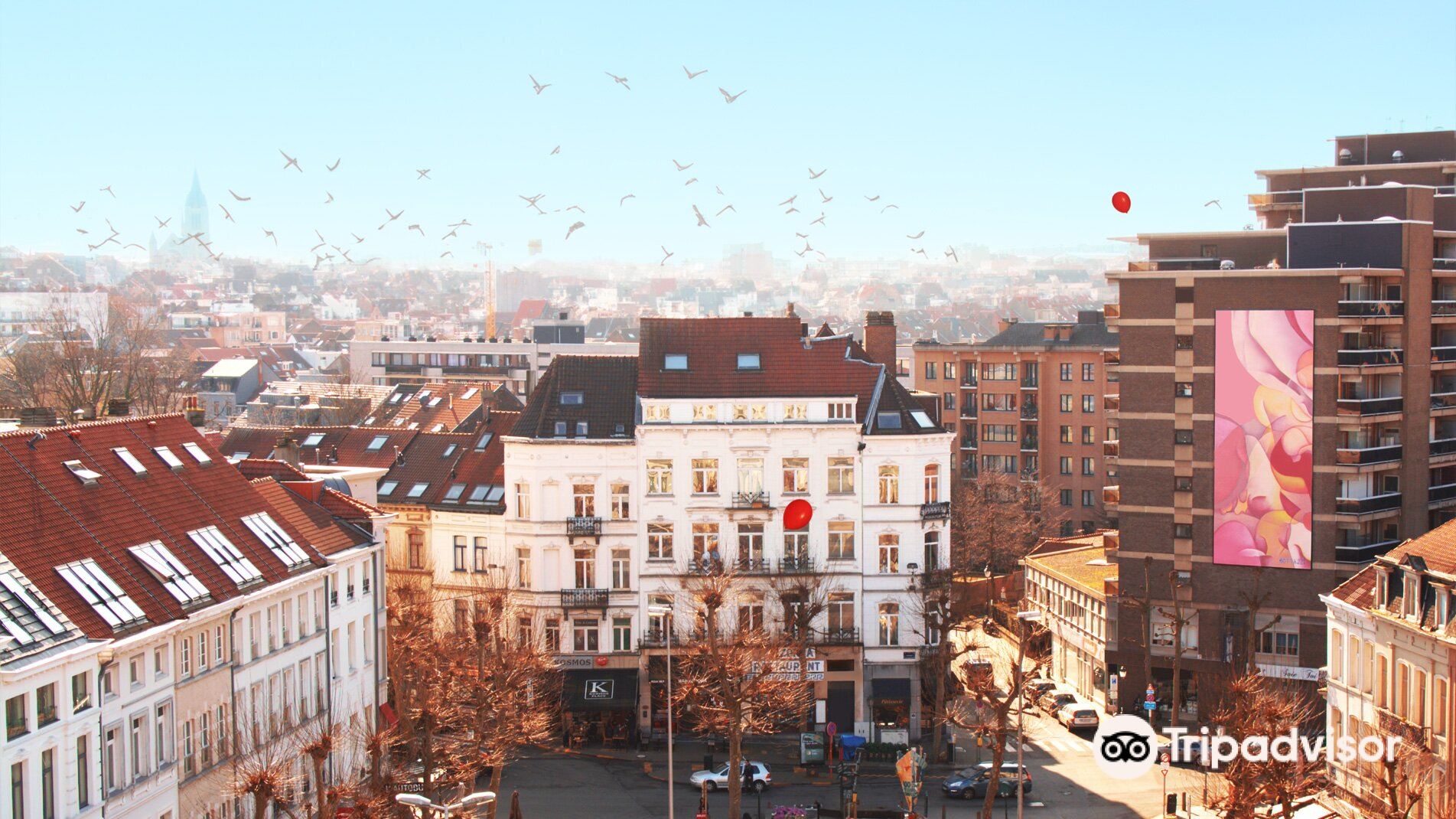 Guillaume Bottazzi at Place Jourdan in Brussels | Etterbeek