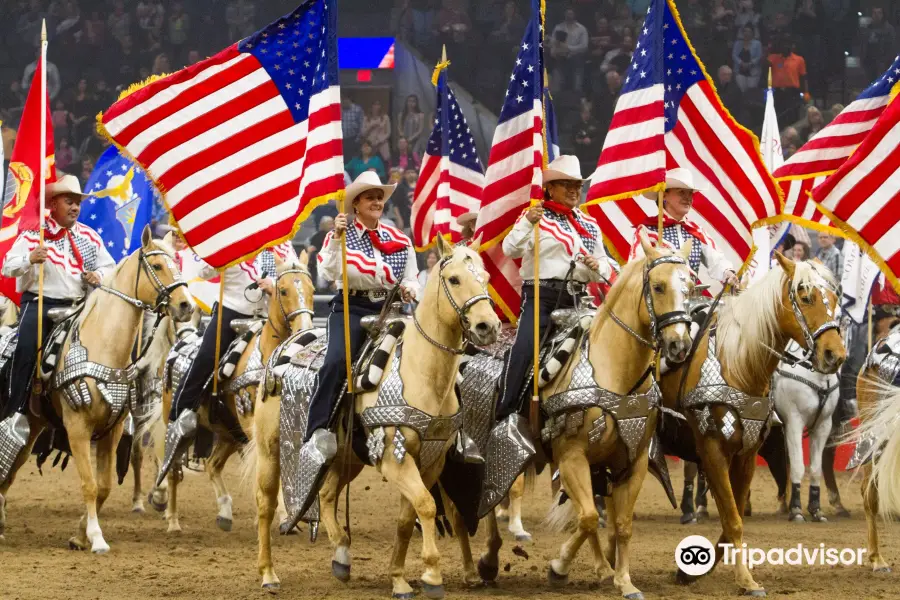 San Antonio Stock Show & Rodeo