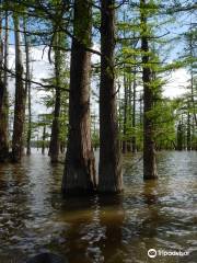 Hovey Lake Fish and Wildlife Area