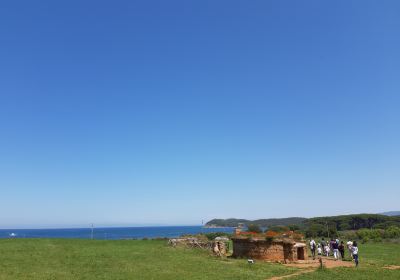 Baratti and Populonia Archaeological Park