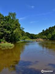 White Pines Nature Preserve