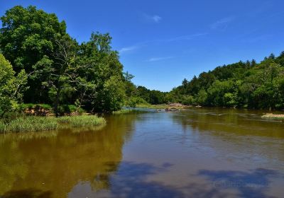 White Pines Nature Preserve