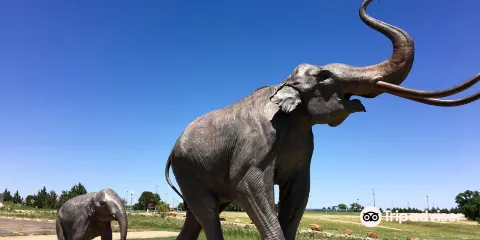 Lubbock Lake National Historic Landmark