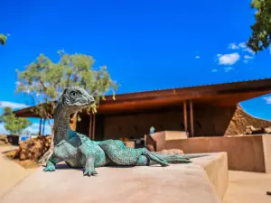 Australian Age of Dinosaurs