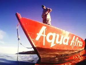 Aqua Africa Dive School