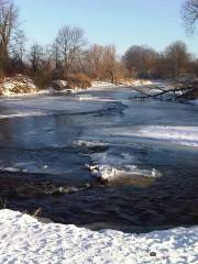 Beechwood State Park