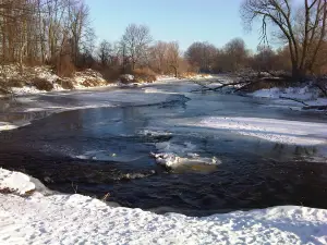 Beechwood State Park