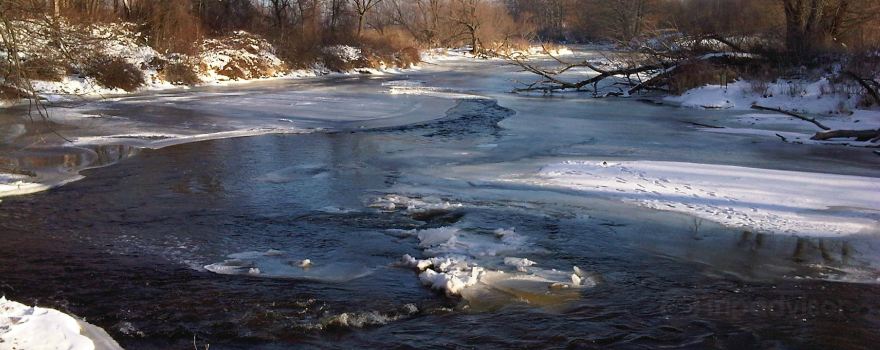 Beechwood State Park
