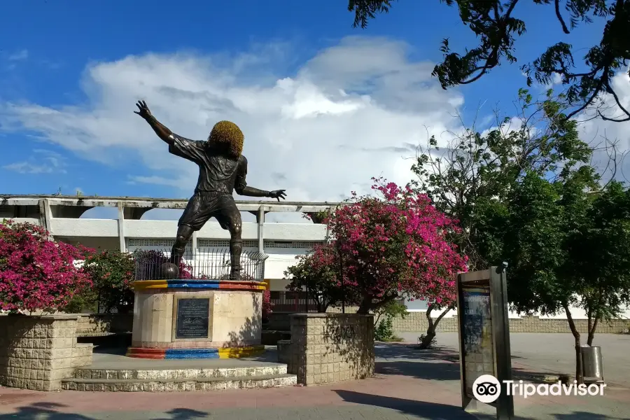 Carlos El Pibe Valderrama Statue