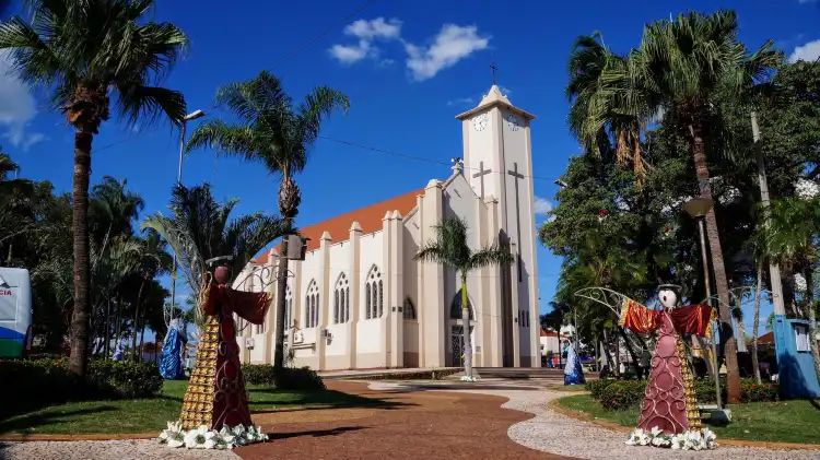 Hotels in Santa Fe do Sul