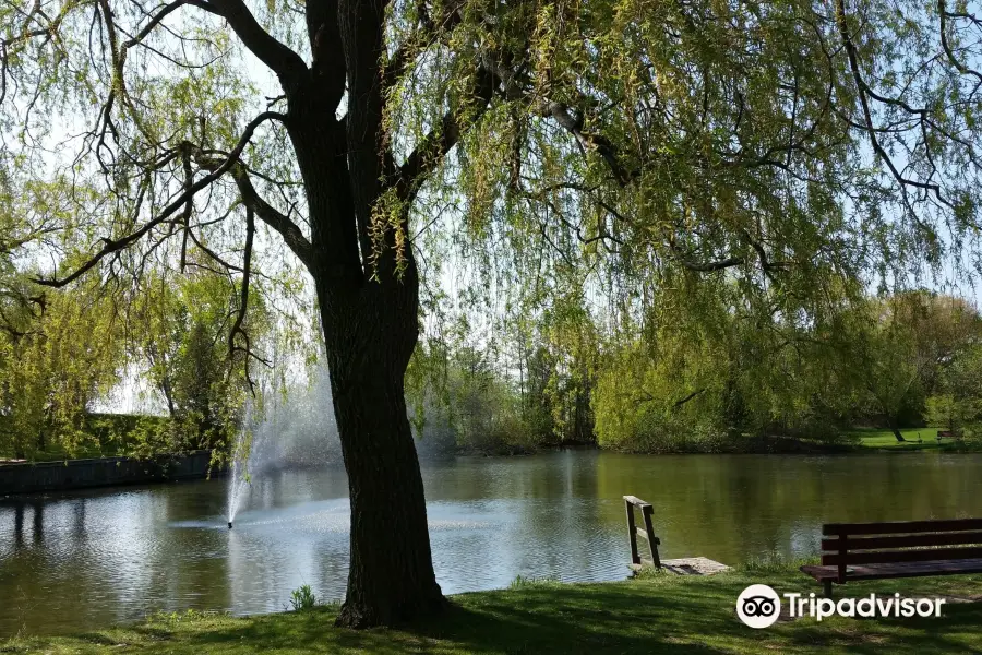 J.C. Saddington Park