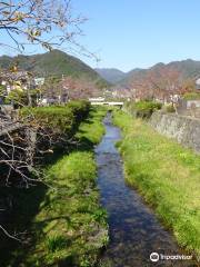 山口市 一の阪川桜並木