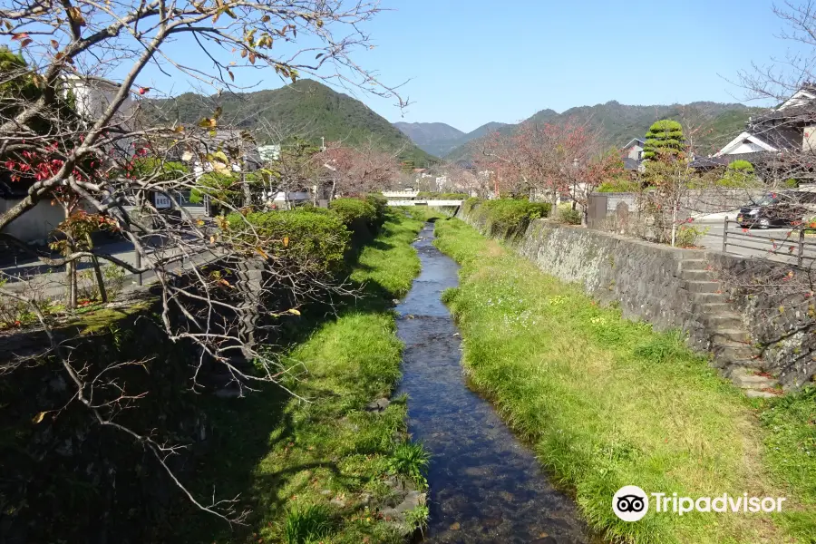 山口市 一の阪川桜並木