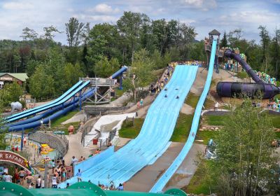 Enchanted Forest Water Safari