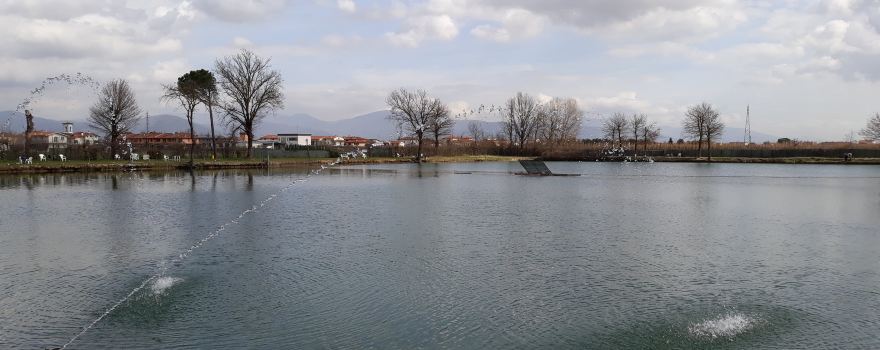 Impianto Sportivo Mollungo