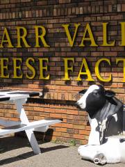 Carr Valley Cheese Factory