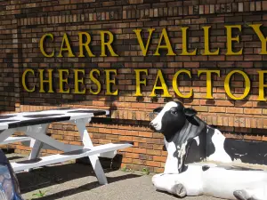 Carr Valley Cheese Co Inc