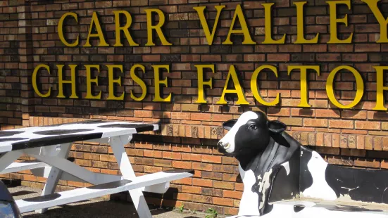Carr Valley Cheese Co Inc