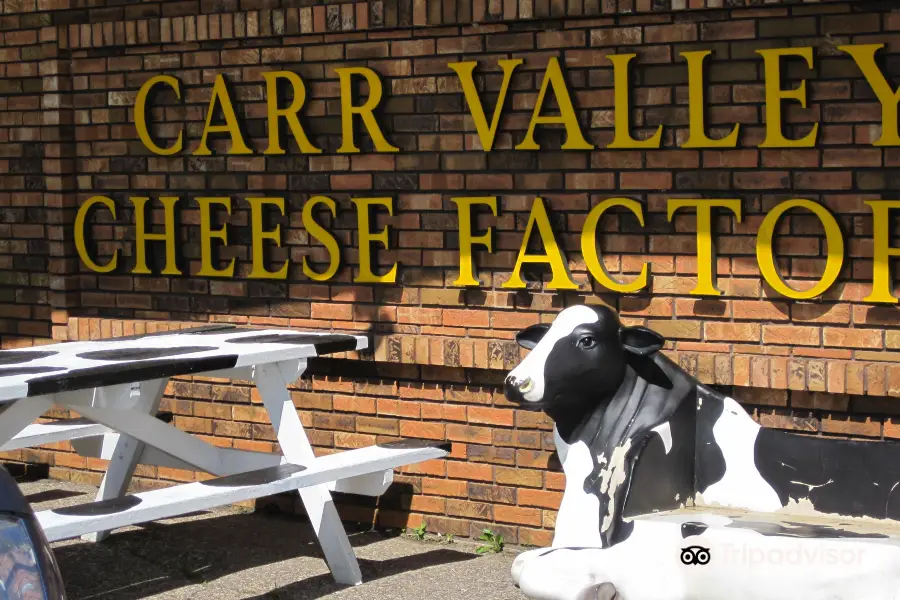 Carr Valley Cheese Co Inc