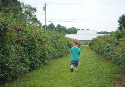 Dondero Orchards