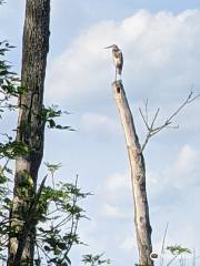 Fannie Stebbins Memorial Wildlife Refuge