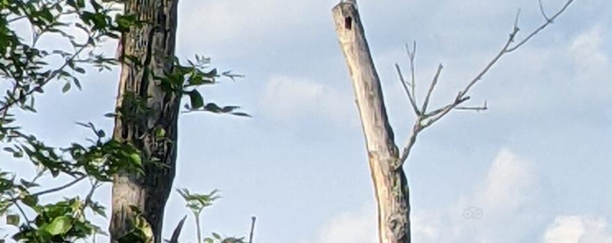 Fannie Stebbins Memorial Wildlife Refuge