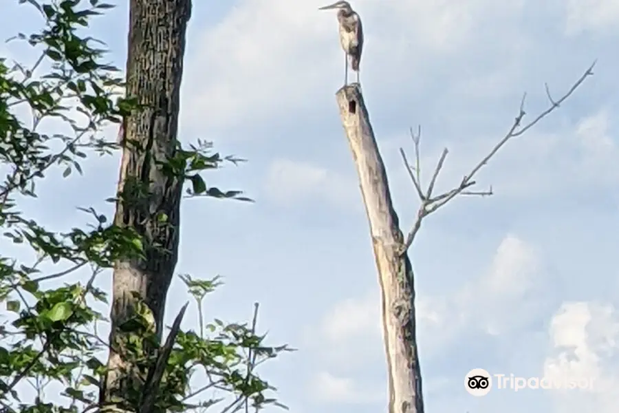 Fannie Stebbins Memorial Wildlife Refuge