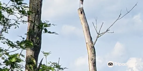 Fannie Stebbins Memorial Wildlife Refuge