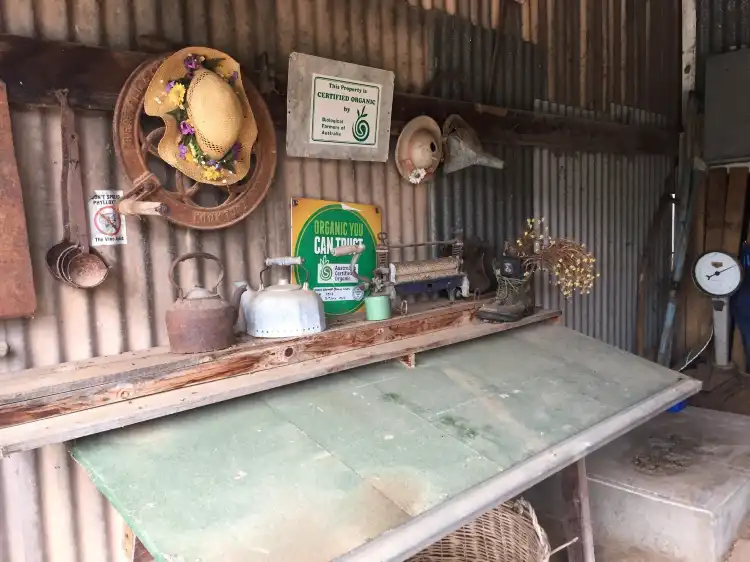 Hotels in Mullamuddy