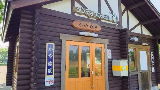 Kayanuma Station