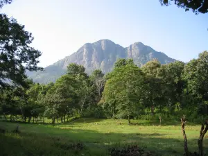 Parambikulam Tiger Reserve