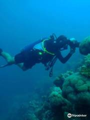 Whaleshark Diver`s Center