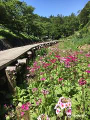 九十九谷森林公園 くりん草園