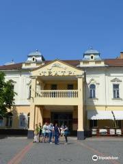 Zakarpattya State Russian Drama Theatre