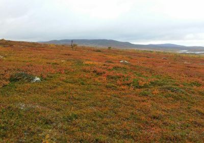 Pieljekajse Nationalpark