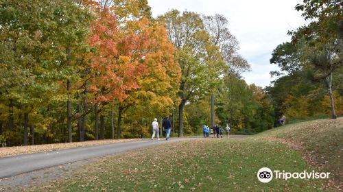 Mt. Pisgah State Park