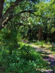 Sweetwater Hammock Preserve