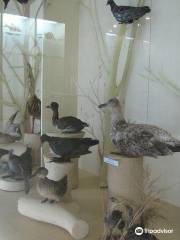 Музей Природы