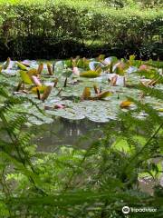 Docton Mill Gardens & Tea Rooms