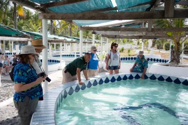 Armería Municipality