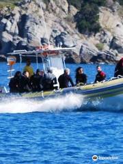 Baratti Diving