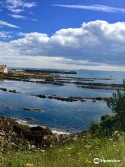 Pittenweem Harbour