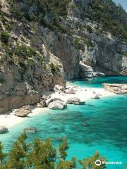 Wild Sardinia
