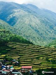 Bayyo Rice Terraces