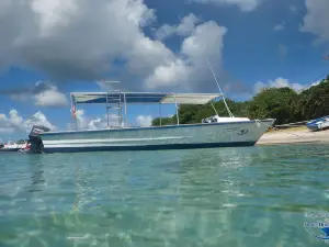 Dive Carriacou