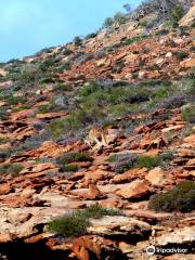 Mushroom Rock Walk Trail