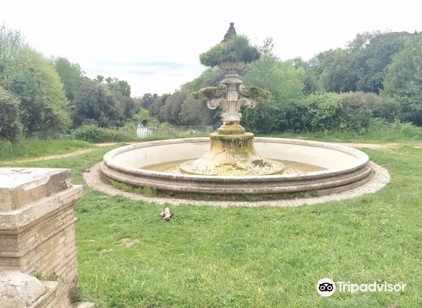 Fontana del Giglio