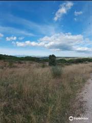 Old River Aulencia Dam